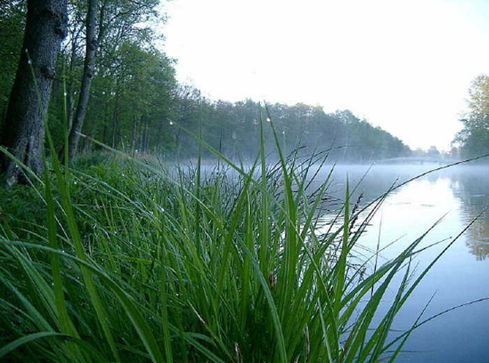 Am Burgsee