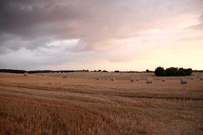 Landschaft mit Strohballen