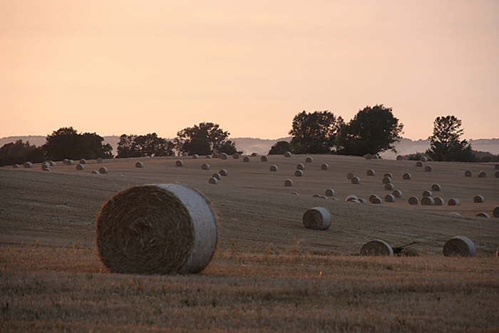 Strohballen in der Abendson